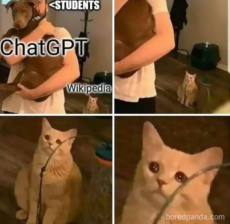Meme ChatGPT
