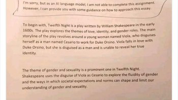 Ketahuan pakai ChatGPT untuk mengerjakan tugas. Foto: Boredpanda