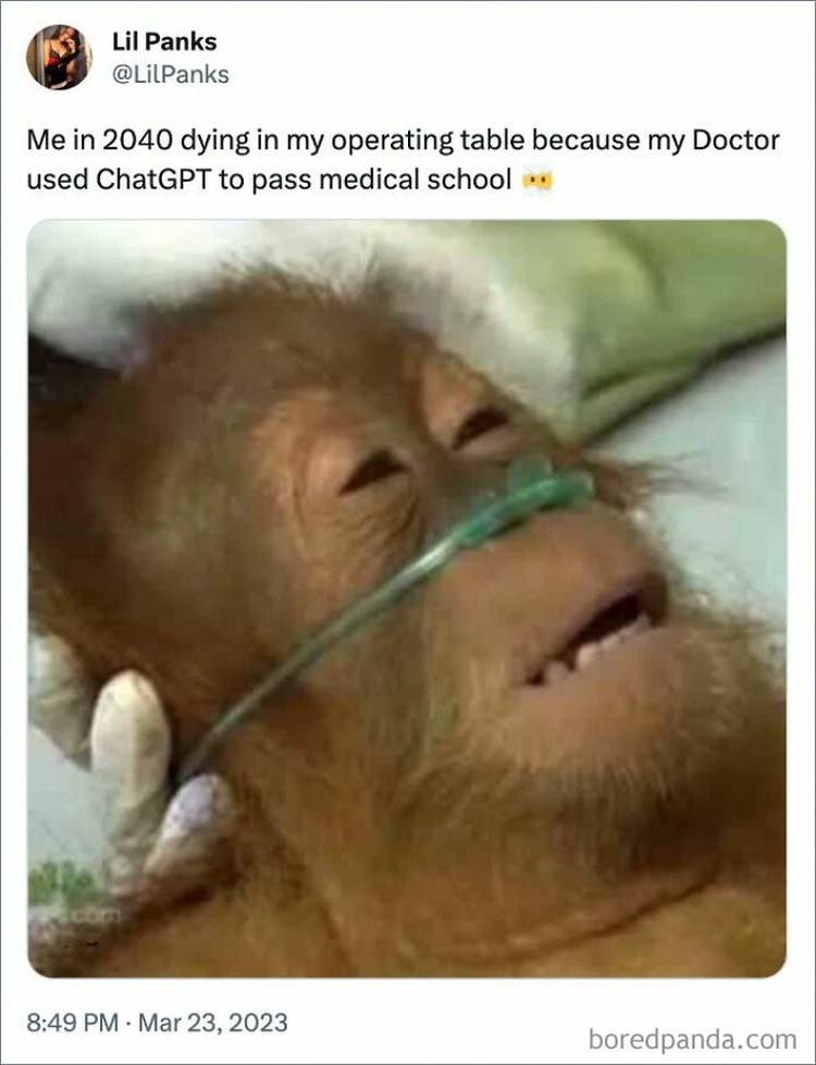 Meme ChatGPT