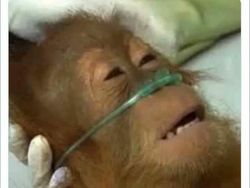 Kumpulan Meme ChatGPT, Bikin Ngakak hingga Was-was