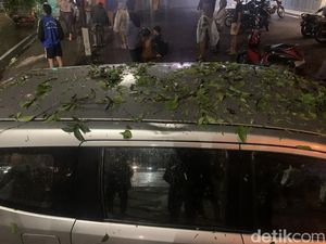 2 Mobil Penyok Tertimpa Pohon Tumbang di Medan, Pemilik Histeris