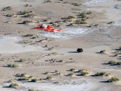 NASA Bawa Oleh-oleh Puing Asteorid ke Bumi