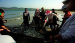 Nelayan Sultra Jaring Ikan untuk Dibagi-bagikan ke Warga