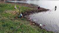 Warga mencari ikan di Situ Cilodong yang airnya menyusut di Kota Depok, Jawa Barat, Senin (25/9/2023). 