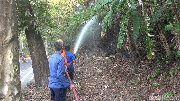Petugas memadamkan kebakaran Taman Hutan Kota Ranggawulung Subang, Senin (25/9/2023).