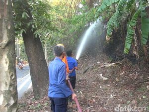 Hutan Kota Ranggawulung Subang Sempat Terbakar