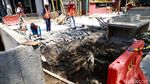 Proyek Pendestrian Jalan Blora-Kendal Terus Dikebut