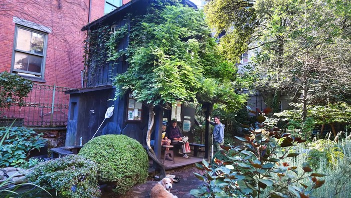 Rumah pohon di tengah kota New York/New York Post