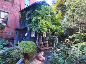 Viral Ada Rumah Pohon di Tengah Kota New York yang Super Sibuk, Kok Bisa?
