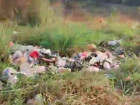 Sampah-sampah rumah tangga dilempar orang tak bertanggung jawab di pinggir jalan di daerah Tanah Merah Depok, Jawa Barat (Jabar). (dok Pribadi/Johan H)