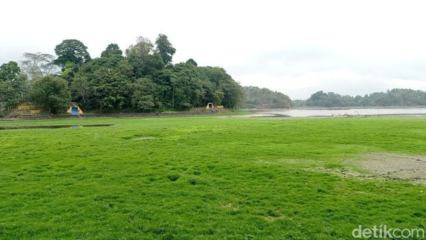Situ Gede Tasikmalaya yang mengering