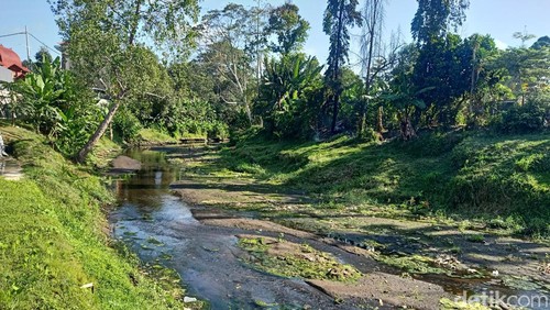 Sungai Jo Gading, salah satu sungai di Jembrana, Bali, yang tercemat ecoli.
