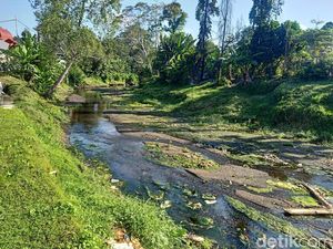 11 Jenis Pola Aliran Sungai, dari yang Sejajar hingga Bercabang