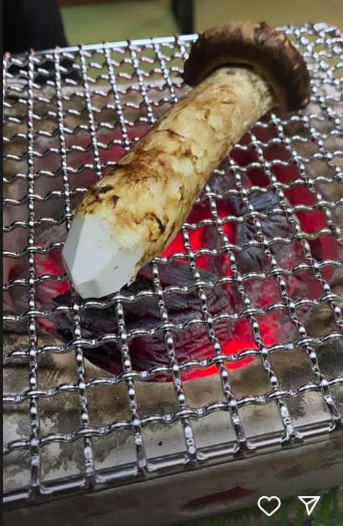 Kulineran Mewah Princess Syahrini Cicip Jamur Matsutake Rp 30 Juta