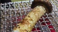 Jamur tersebut merupakan jamur matsutake. Harganya dibanderol sekitar Rp 30.800.000 per onsnya. Jamur tersebut diolah dengan cara dipanggang. Foto: Instagram @princessyahrini