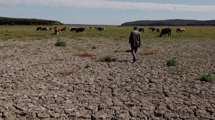 An aerial view shows the dried lakebed of the Terkos Dam, where a decline in precipitation this year has lowered water levels in the reservoirs of Turkey's largest city to less than 25%, on the outskirts of Istanbul, Turkey September 20, 2023. REUTERS/Umit Bektas