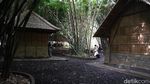 Wisata Tersembunyi di Desa Penglipuran Itu Bernama Hutan Bambu