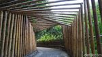 Wisata Tersembunyi di Desa Penglipuran Itu Bernama Hutan Bambu
