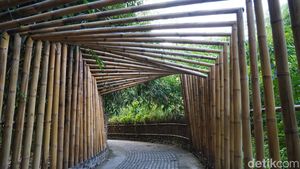 Wisata Tersembunyi di Desa Penglipuran Itu Bernama Hutan Bambu