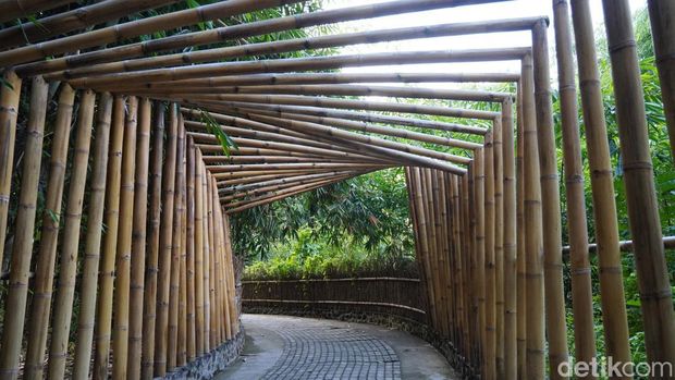 Wisata Tersembunyi di Desa Penglipuran Itu Bernama Hutan Bambu
