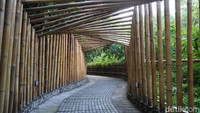 Ragam aktivitas menarik bisa Anda lakukan di tempat ini. Sala satunya spot foto ala Jepang.