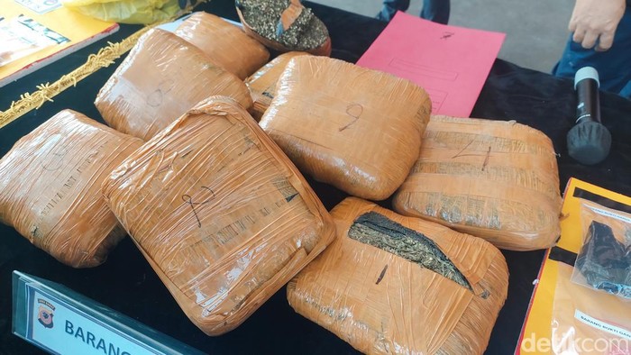 Barang bukti Paket Ganja 10 Kilogram dari Medan