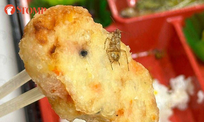 Jijik! Makan Bento Box, Wanita Ini Hampir Telan Seekor Kecoak