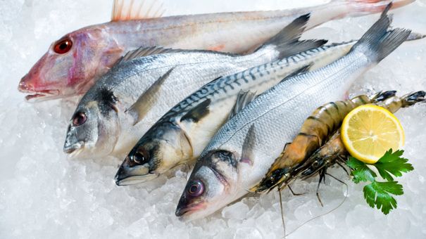 Bukan Dimasak, Pria Ini Beli Ikan Rp 4,5 Juta untuk Dilepaskan Lagi