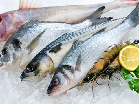 Bukan Dimasak, Pria Ini Beli Ikan Rp 4,5 Juta untuk Dilepaskan Lagi