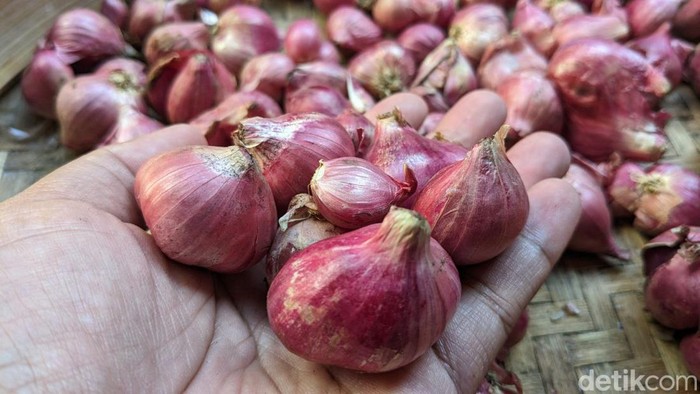 Harga bawang merah di Tulungagung anjlok