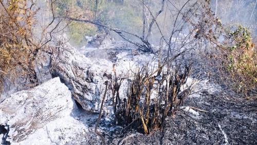 Lahan yang terbakar di Desa Ban, Kecamatan Kubu, Kabupaten Karangasem yang menyebabkan tiga rumah dan tiga Palinggih juga ikut hangus pada Senin (25/9/2023).