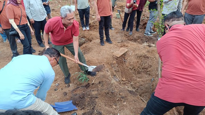 KLHK dan Pemkab Tanam Pohon di Bogor (Rizky Adha-detikcom)