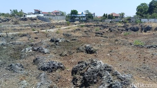 Lahan tandus di Kupang, NTT.