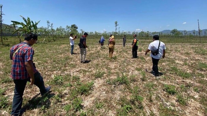 Lokasi AI, bocah tujuh tahun, saat digigit anjing liar di Lombok Tengah, Selasa siang (26/9/2023). AI tewas setelah diserang dua anjing pada Minggu (24/9/2023).
