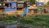 Pendangkalan terjadi akibat sedimentasi lumpur bercampur sampah.