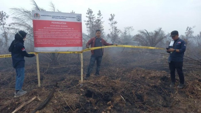 Penyegelan lahan perusahaan terdampak karhutla oleh Tim Gakkum KLHK.