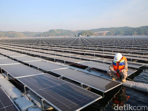 Raksasa Energi Abu Dhabi Mau Bikin Kebun Matahari di IKN
