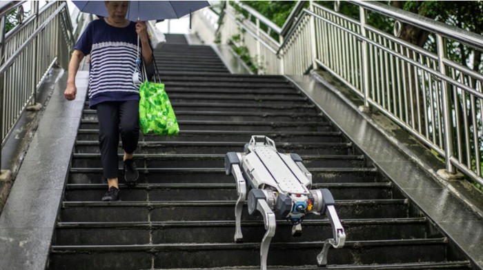 Robot anjing di China