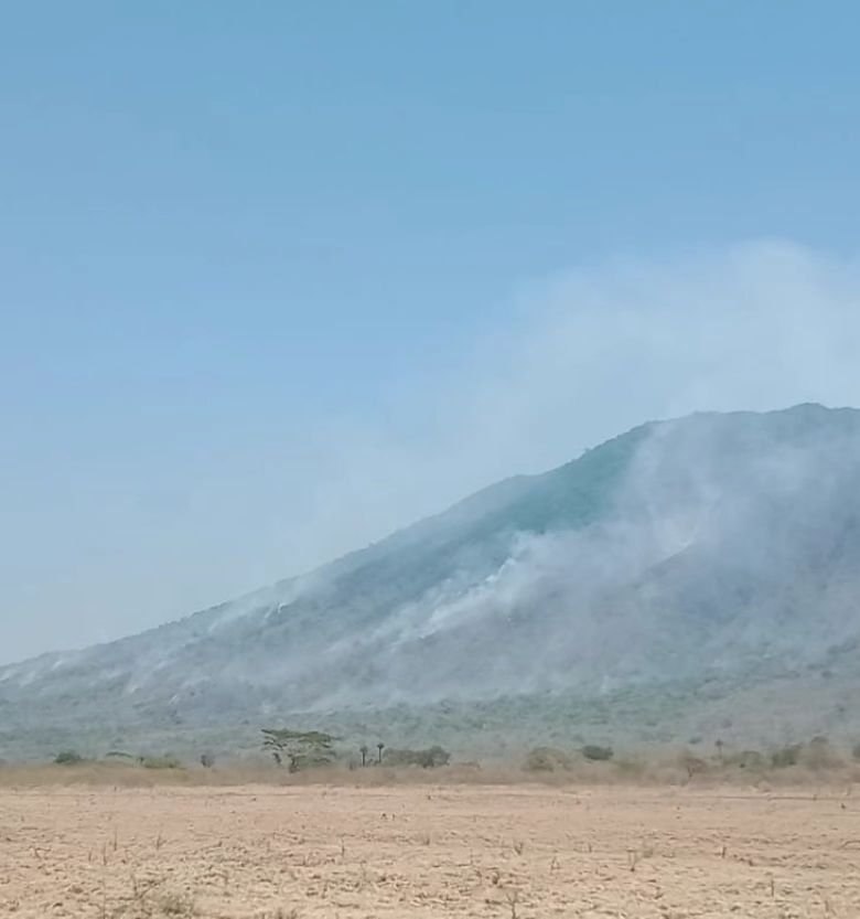 Taman Nasional Baluran kebakaran