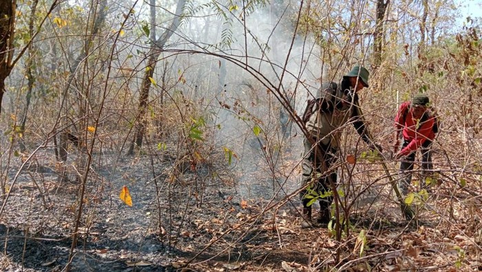 TN Baluran terbakar