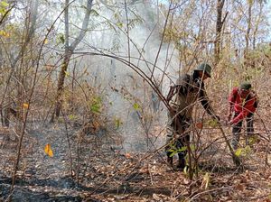 Hutan TN Baluran Terbakar Lebih dari 160 Hektar