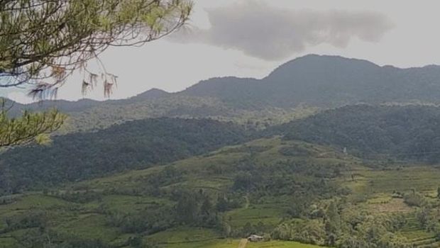 Tor Simago-Mago (Foto: Instagram/@torsimagomago_sipirok)