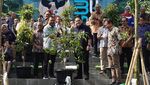Tekan Polusi Jakarta, Erick Thohir Mulai Program Tanam 100.000 Pohon