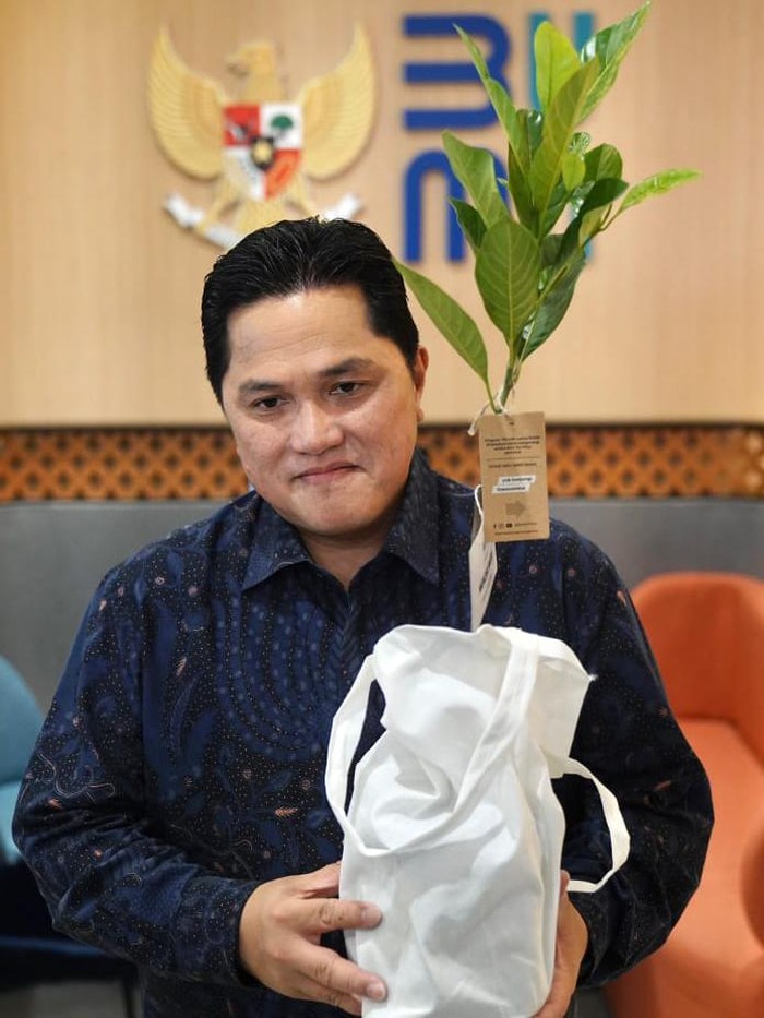 Pemerintah saat ini terus berkomitmen untuk menekan polusi dan menghijaukan Indonesia. Menteri BUMN Erick Thohir mulai menjalankan program Gotong Royong Boyong Pohon yang dimulai dari lingkungan BUMN.