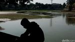 Danau Cinere Kering Imbas Kemarau, Ikan Mati-Tanah Retak