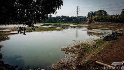 Danau Cinere Kering Imbas Kemarau, Ikan Mati-Tanah Retak