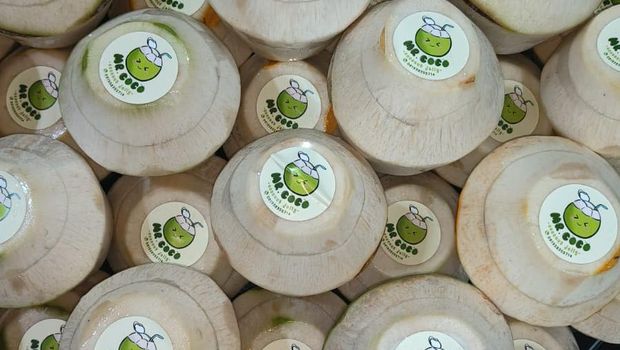 Dua mahasiswa UC sukses berbisnis coconut jelly