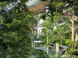 Hasil Foto Kamera Xiaomi 13T Rasa Leica