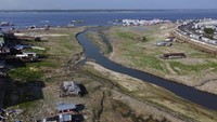 Negara bagian Amazonas mengumumkan keadaan darurat lingkungan dua minggu yang lalu sebagai tanggapan atas kekeringan yang berkepanjangan dan meluncurkan rencana tanggap darurat senilai 20 juta dolar AS.   