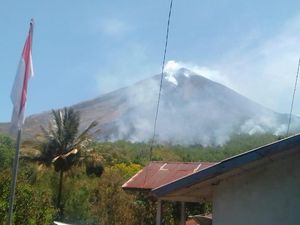 2 Hari Kebakaran Lereng Gunung Tertinggi di Flores gegara Puntung Rokok